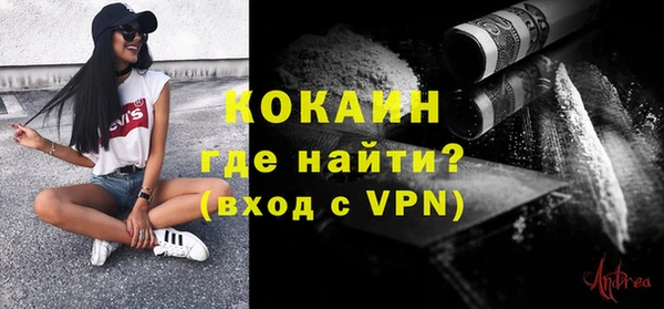бошки Бородино