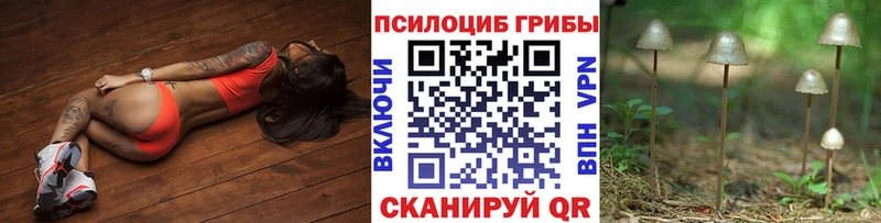 Псилоцибиновые грибы Psilocybe  Купить где  Красноуральск 